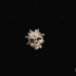 錄製_2025_05_22_03_11_46_705.gif