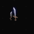 錄製_2025_05_22_03_27_22_328.gif